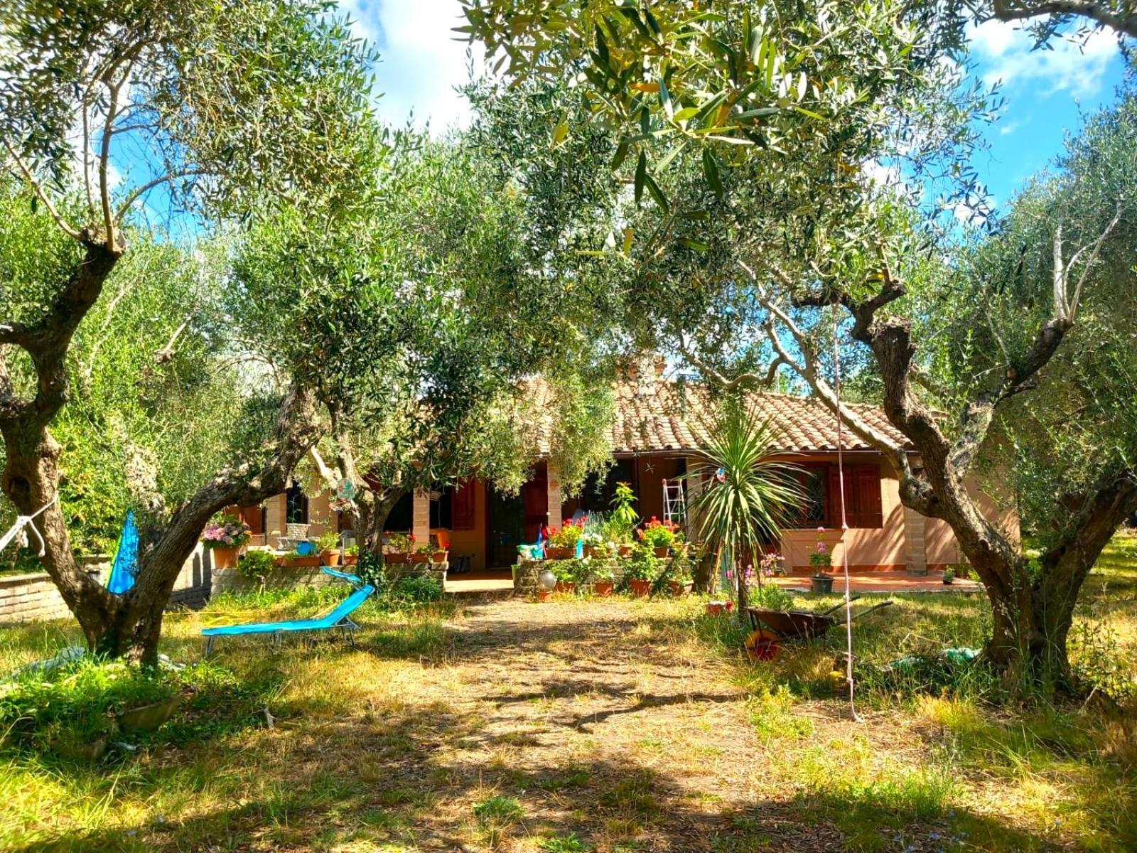 All'Ombra Degli Olivi Pisciarelli 外观 照片